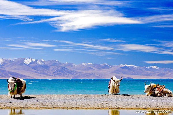 初次進藏注意事項