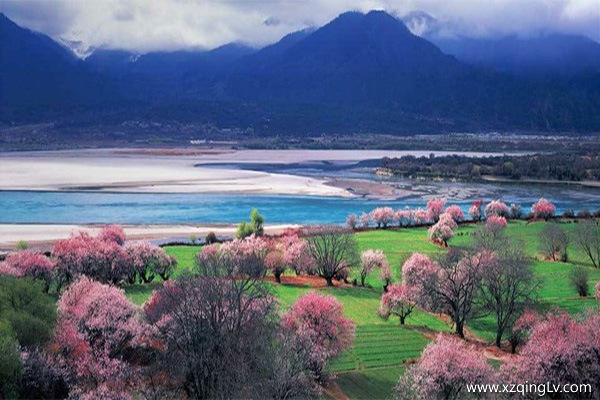 林芝景點有哪些