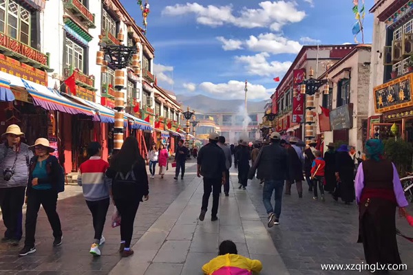 西藏旅游不適宜的人