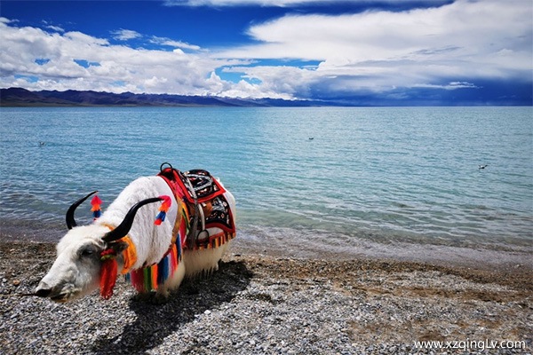 西藏旅游多少錢(qián)