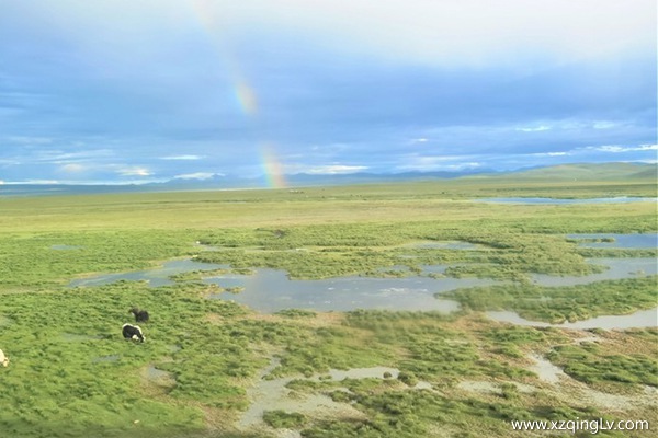 去西藏要多少錢