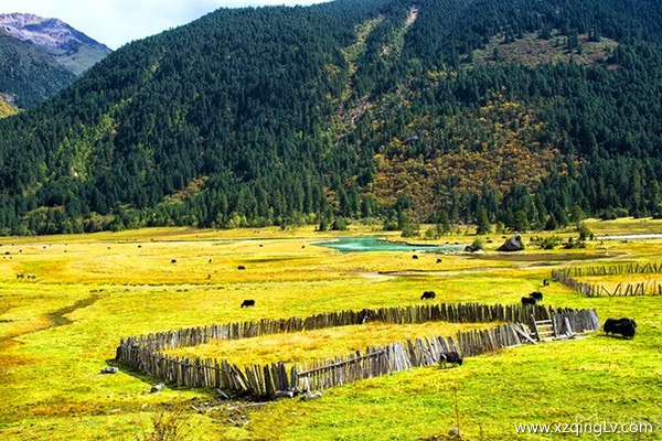 幾月份是去西藏旅游的最佳時間