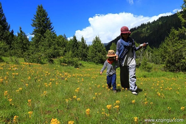 林芝幾月份玩比較好