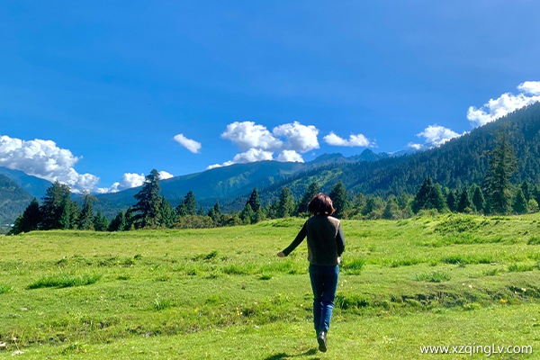 去西藏跟團(tuán)游還是自由行？