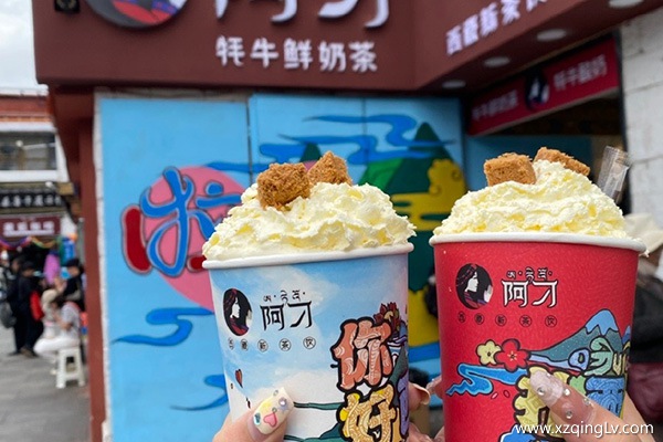 小孩去西藏旅游注意什么