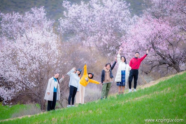 帶爸媽跟團(tuán)去西藏旅游費(fèi)用是多少