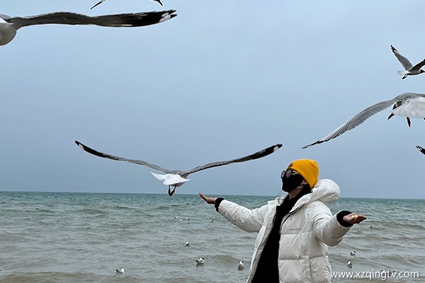 廣州去西藏一周花費多少錢